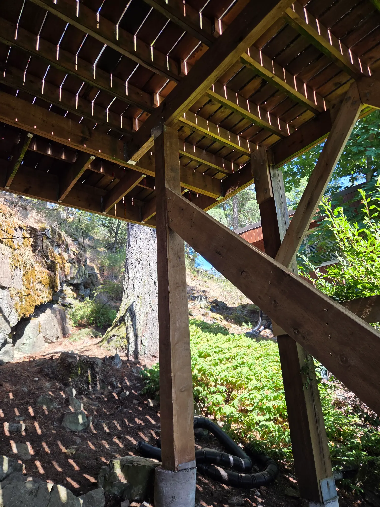 Detail of structural repair work showing new lumber and framing connections